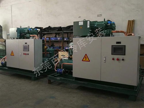珠海鲈鱼加工厂冷库精准安装 低故障率、B1级防火为本鲜护航